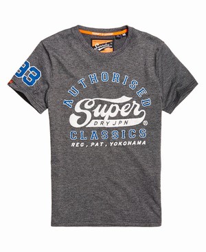 Superdry Heritage Classic Férfi Pólók Szürke | AHKCT0128